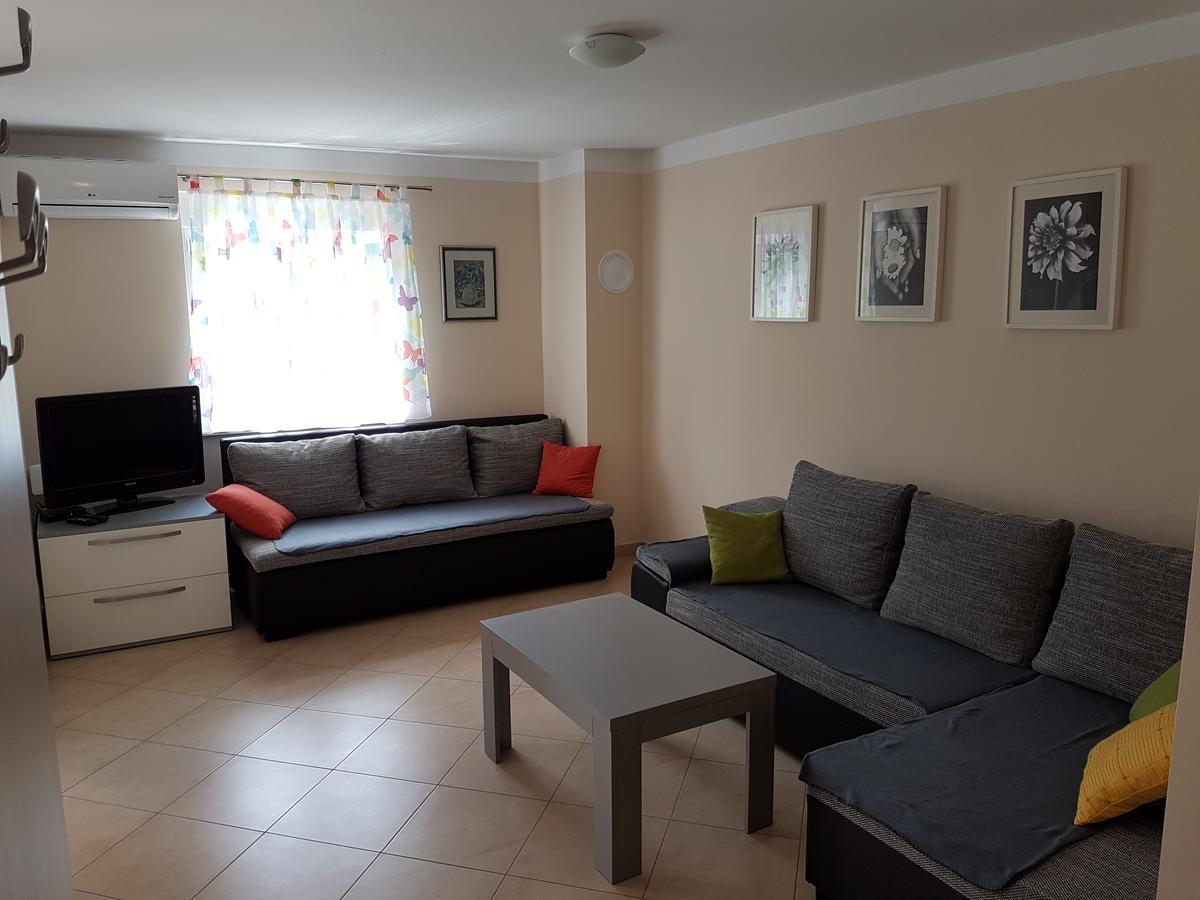 Apartman Branka 斯塔利格拉德-帕克利尼卡 外观 照片